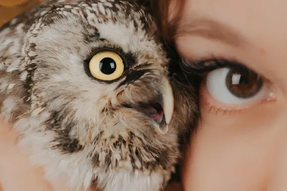 Casino Lucky 31 Ënnerstëtzung